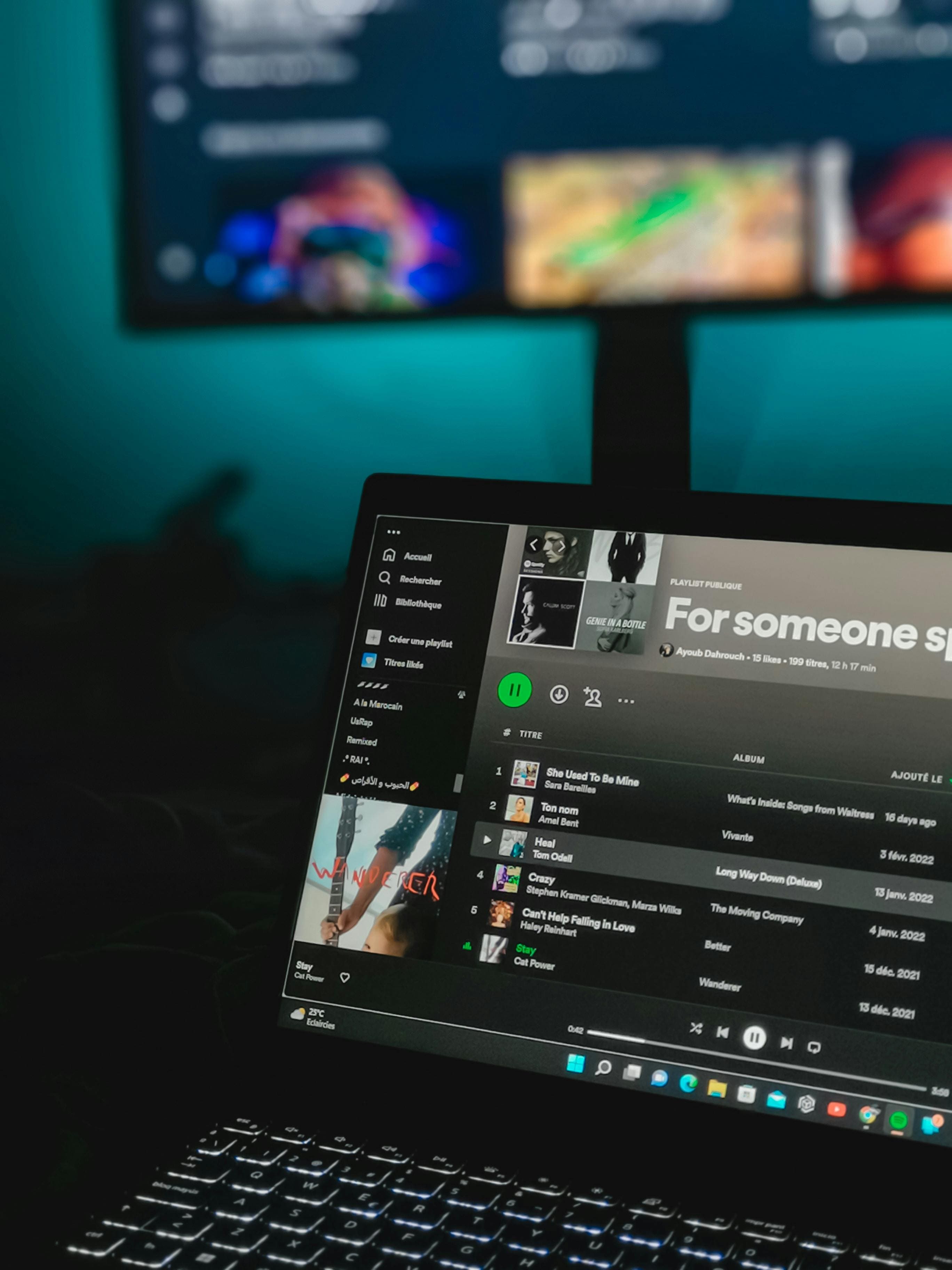 Aperçu Spotify